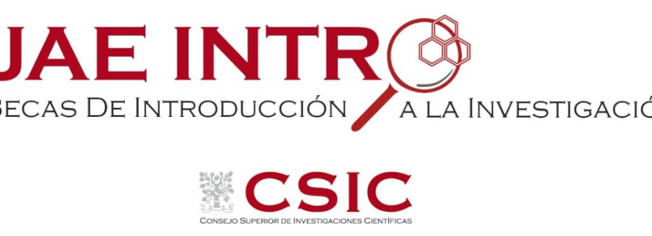 Logo JAE intro CSIC