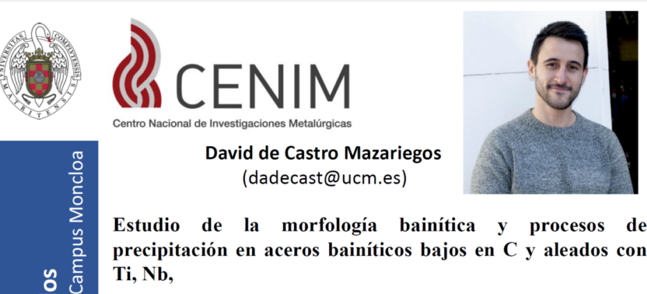 Tesis David de Castro